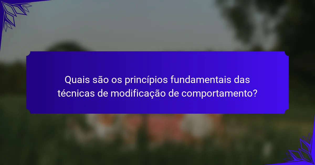 Quais são os princípios fundamentais das técnicas de modificação de comportamento?